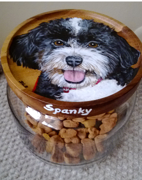 Pet Portrait Treat Jar of a Havanese