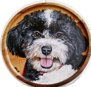 Full View of the Treat Jar Lid.